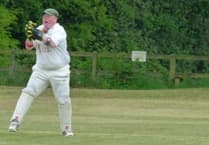 Waverley Cricket Club slip to narrow defeat against Vagabonds