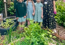 From butterfly crisis came The Attenborough Garden