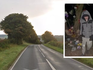 Teen trashed memorial to Meon Valley crash pair