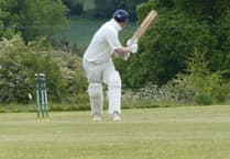 Waverley Cricket Club earn impressive win at Dummer