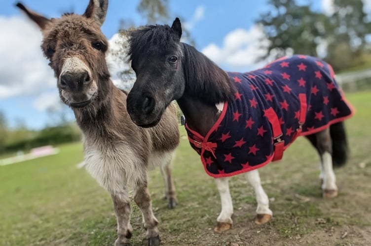Mr Kipling and Noodle who will be at Badshot Lea fete
