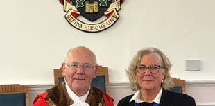 Last Waverley mayor warns of 'turbulent' final year