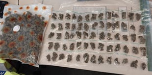 Police take £15,000 worth of drugs off streets of Alton