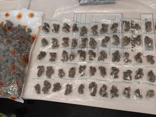 Police take £15,000 worth of drugs off streets of Alton