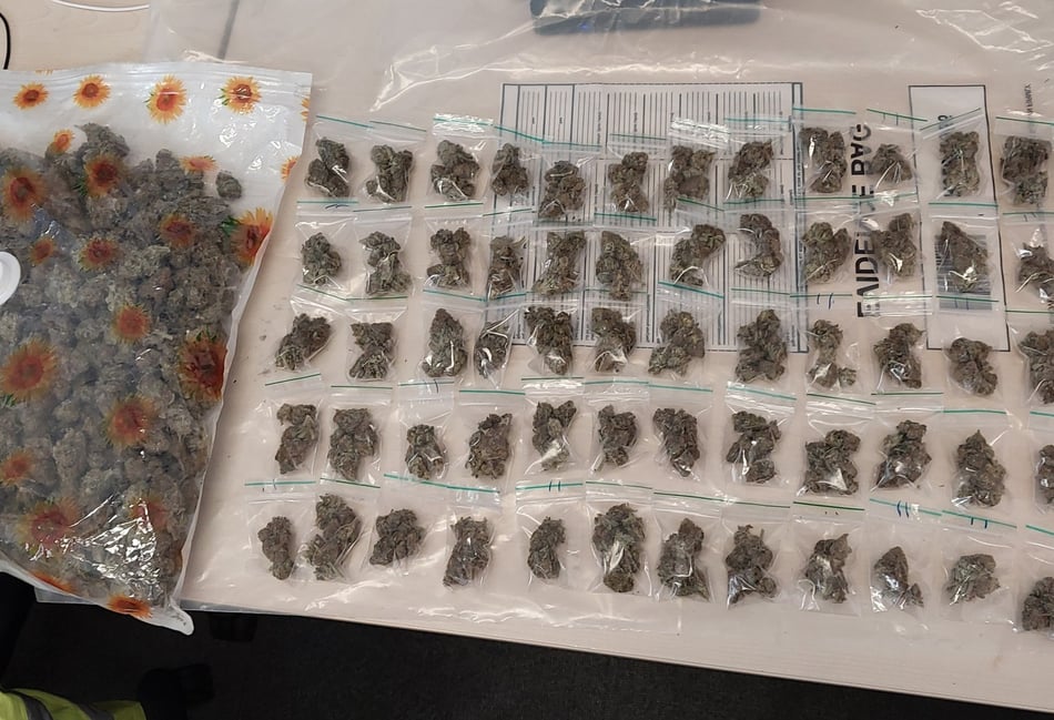 <p>Some of the £15,000 worth of drugs seized by police in Alton.</p>