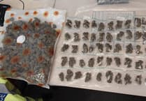 Police take £15,000 worth of drugs off streets of Alton
