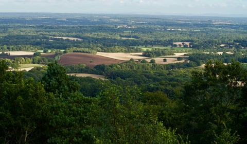 Join our Surrey and Hampshire team