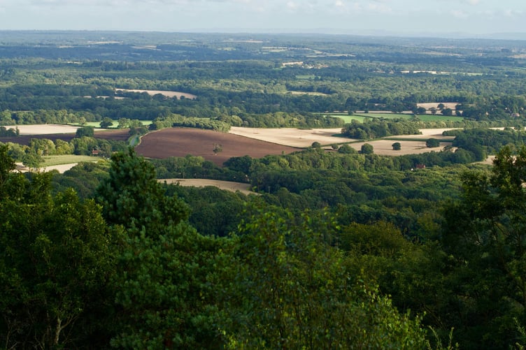 surrey countryside