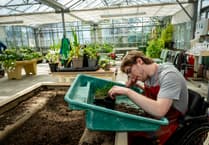Coffee company charity supports Treloar's gardening project