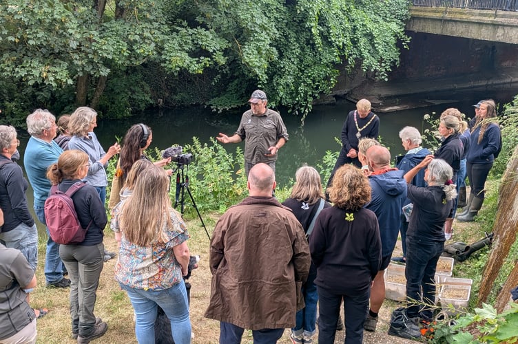 David Elliott National Trust Water Voles