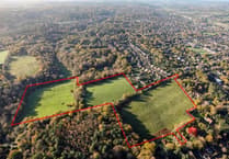 Developer joy over Waverley Lane plan resolution