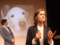Review: How To Be The Perfect Couple, Alton Arts Festival