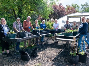 Farnham's hanging baskets begin to bloom thanks to army of volunteers