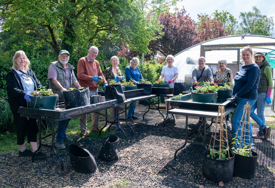 <p>Volunteer Planting Hanging Baskets</p>