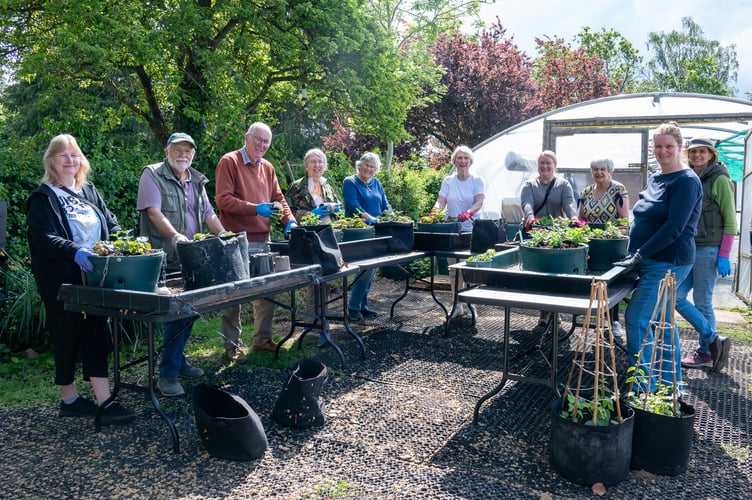 Volunteer Planting Hanging Baskets
