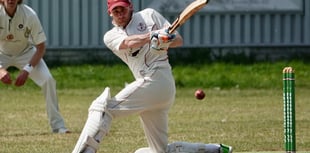 Clanfield fall to defeat against Gosport Borough's second team