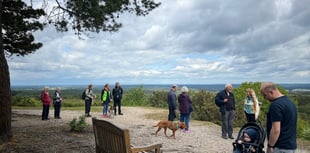 Participants smash step count during walking festival