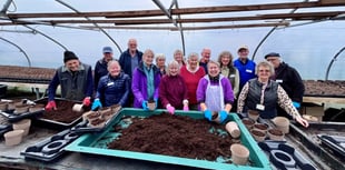 Volunteers thanked for helping make Farnham thrive