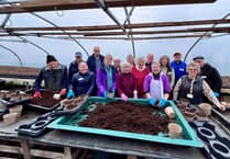 Volunteers thanked for helping make Farnham thrive