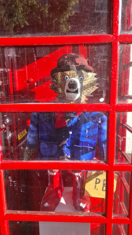 Paddington in the Farnham phone box.