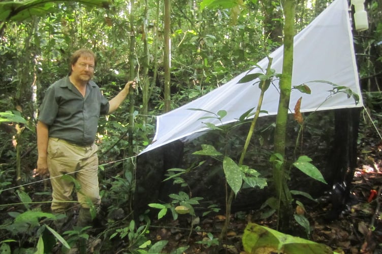 Insect expert Dr Paul Eggleton of Farnham.