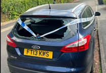 Dog walker despair as request to move vandalised car in Alton hits dead end