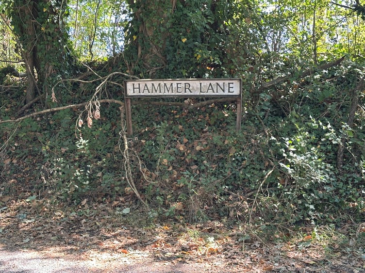 The sign for Hammer Lane, near Haslemere.