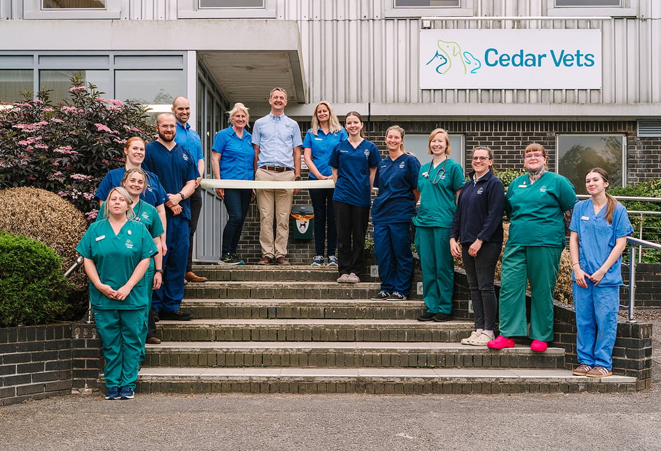 <p>Cedar Vets' new out of hours team prepares to cut the ribbon to launch its 24-hour service (Photo: Angela Ward Brown).</p>