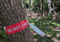 Firefighters spend all night battling large woodland blaze near Farnham