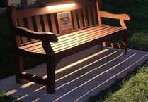 Farnham councillors back plan for 'beacon of hope' bench in Gostrey Meadow