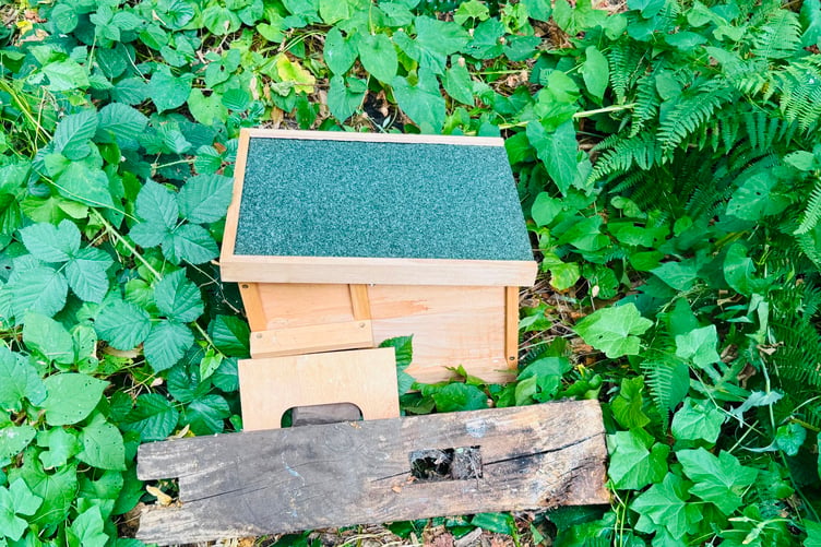 The homes made for the hedgehogs by the Wrecclesham Conservation Group