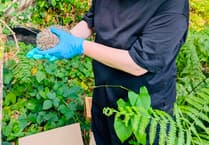 How a woman from South Korea became Farnham's wildlife champion
