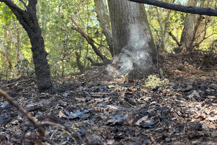 Last remaining signs of smoke from the scorched earth at Caesar Camp
