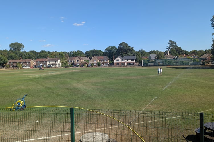 FH Elstead Cricket Green Pitch PIC2