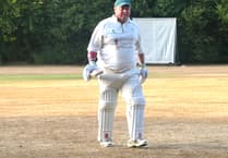 Waverley Cricket Club beat Medstead by five wickets