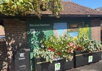 Could art transform Farnham’s notorious bus shelter?
