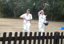 Waverley secure thrilling two-wicket win against Wood Street