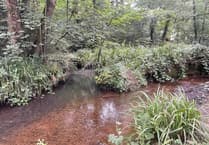 Another River Wey pollution scare raises fresh concerns in Haslemere