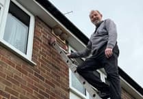 Provide a house for a house martin