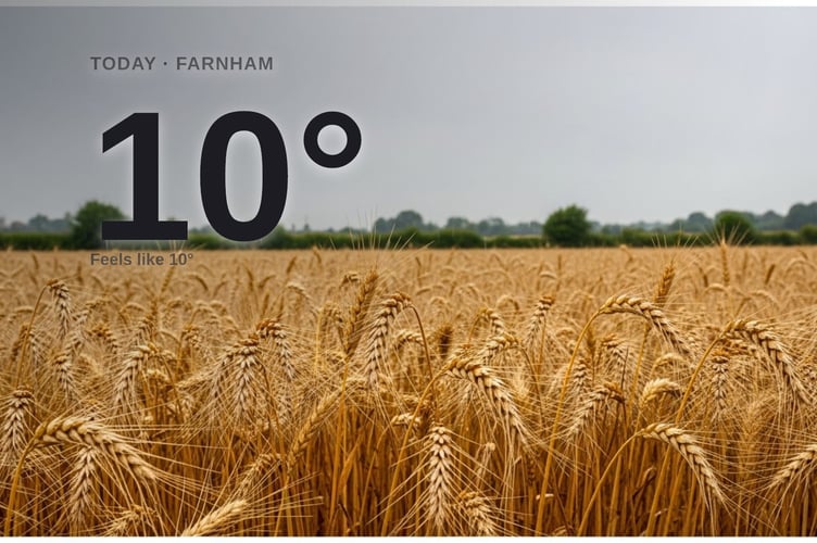 Farnham weather: cloudy Wednesday with rain expected and a high of around 10°C