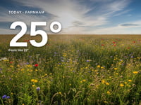 Farnham: partly cloudy, high of 25°C